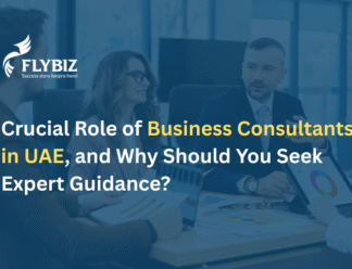 Business Consultants in UAE
