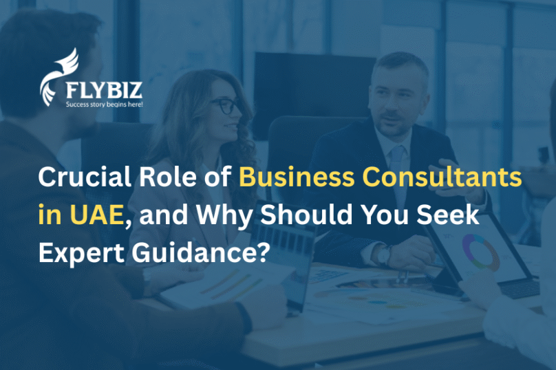 Business Consultants in UAE